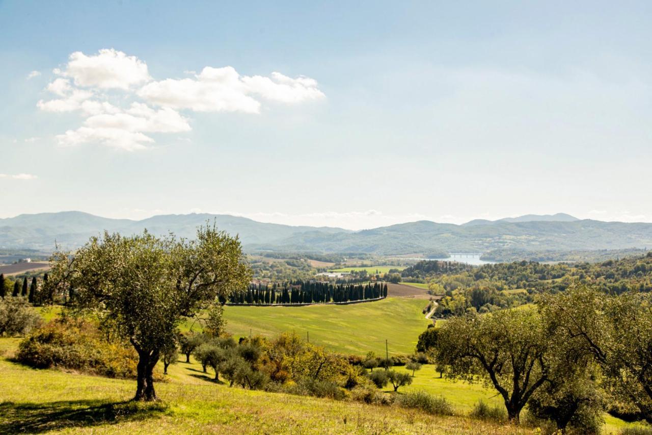 Apartmán Borghetto Il Poggiolo Mugello - Affitti Brevi Italia Scarperia Exteriér fotografie